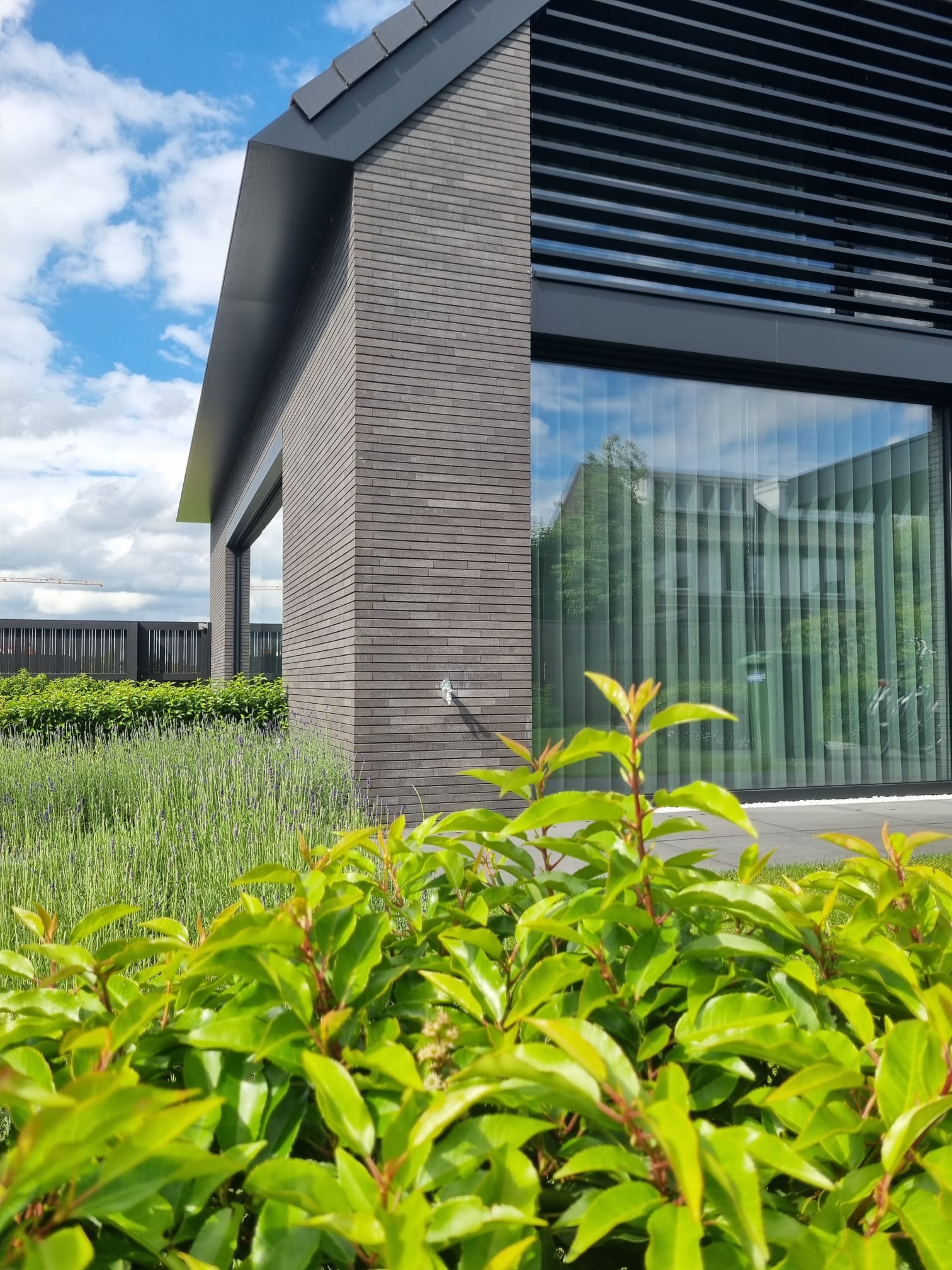 Minimalistische tuin Middelbeers 07
